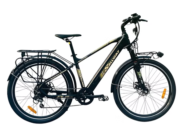 Xe đạp điện Sallway Al 640 Pro